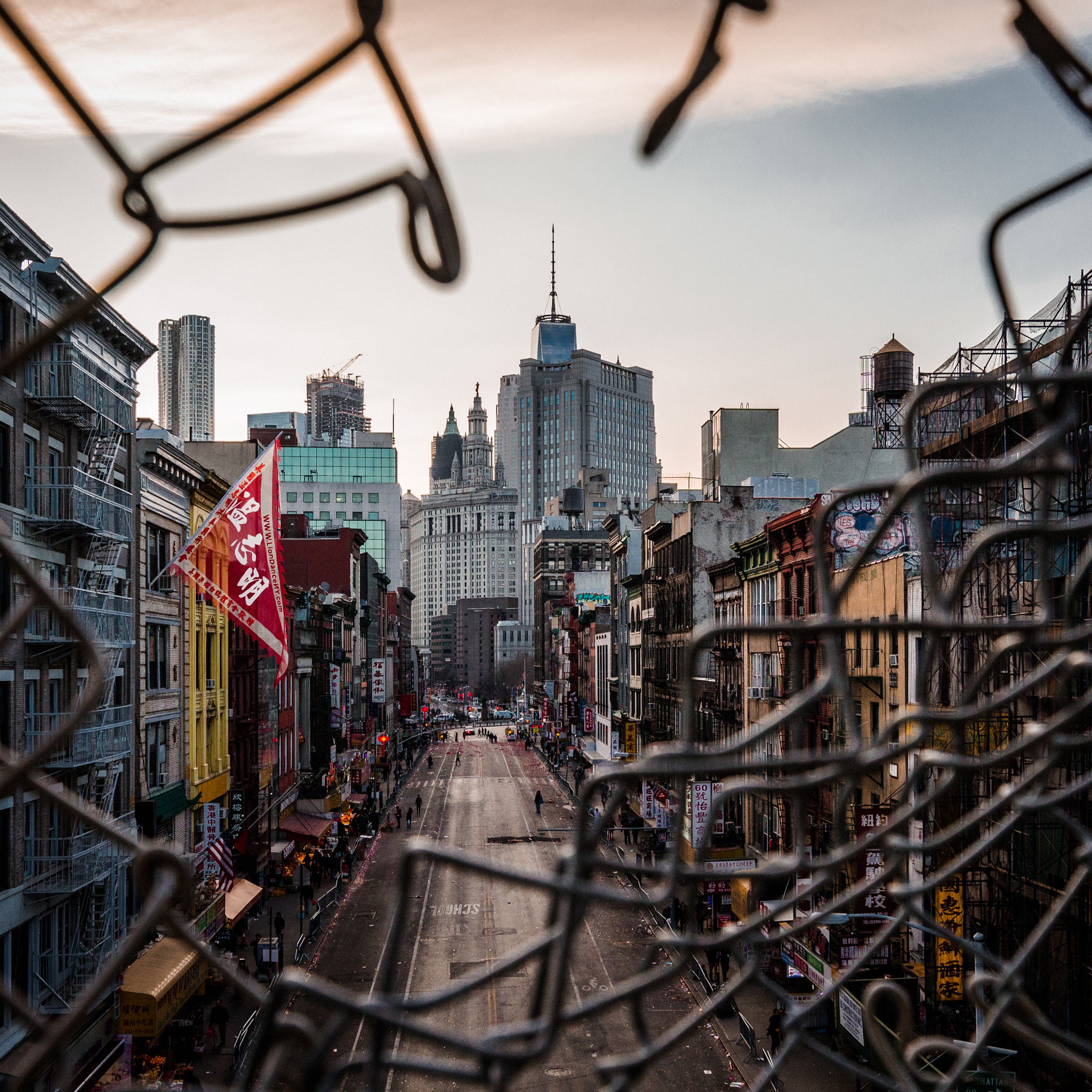 Canon EF 300mm f/2.8L sample photo. Caged photography