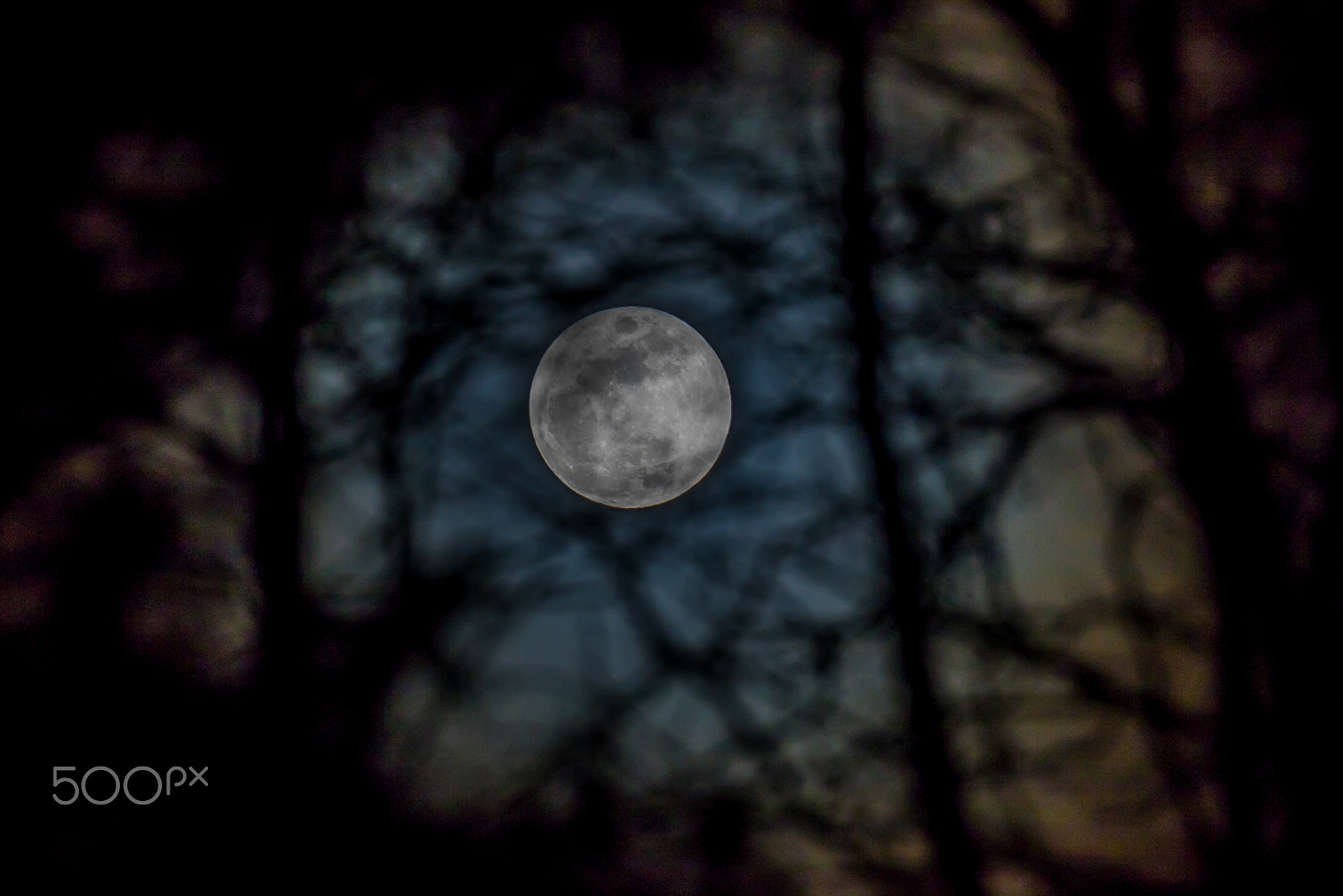 Canon EF 200mm F2.8L II USM sample photo. Shadow eclipse photography