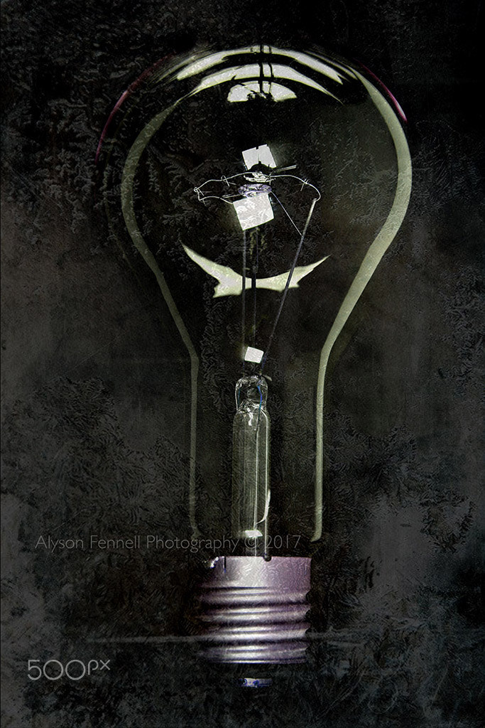 Canon EF 50mm F1.2L USM sample photo. Giant industrial light bulb. photography