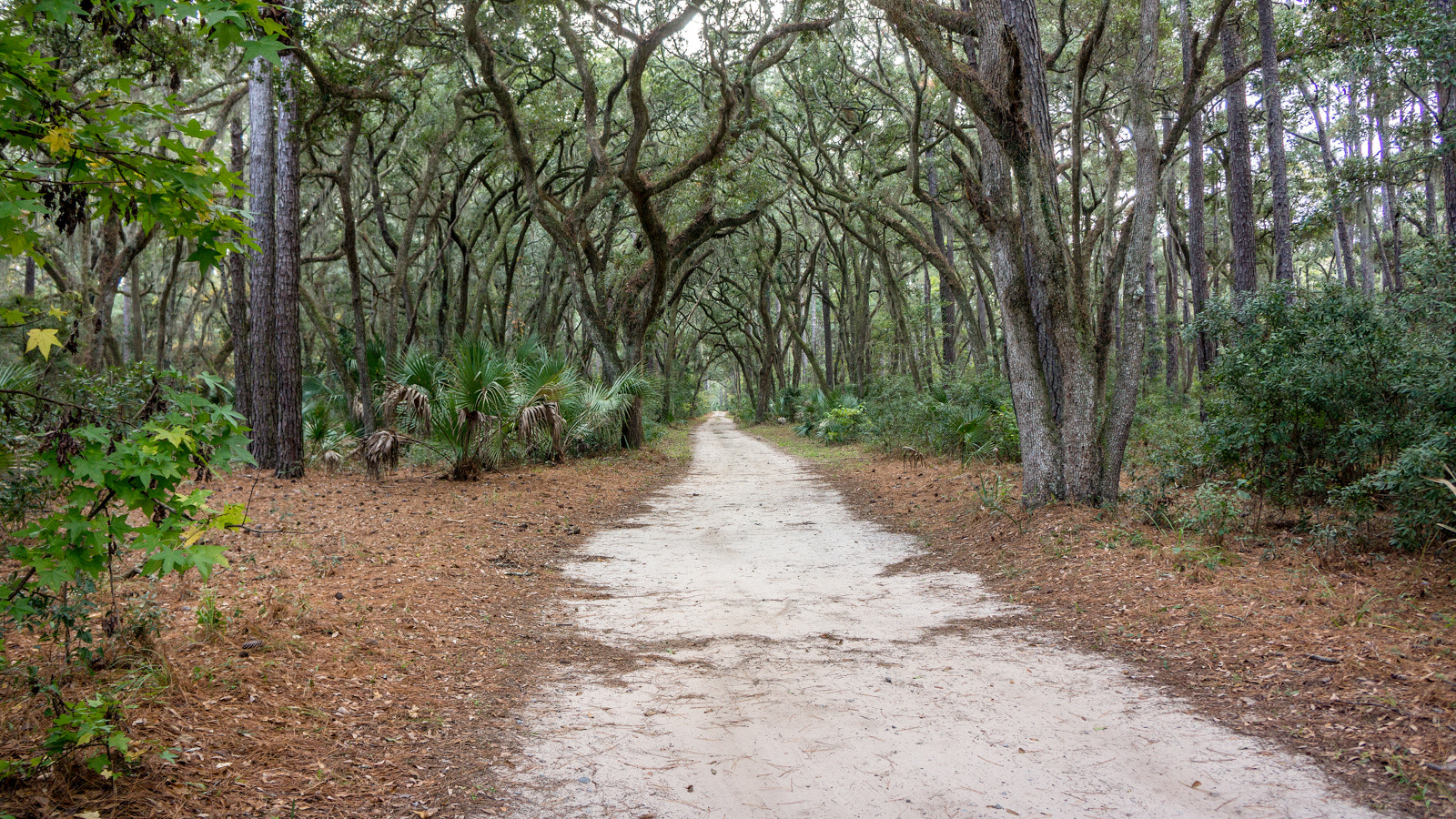 Sony Alpha NEX-7 + Sony E 18-55mm F3.5-5.6 OSS sample photo. River road preserve arches photography
