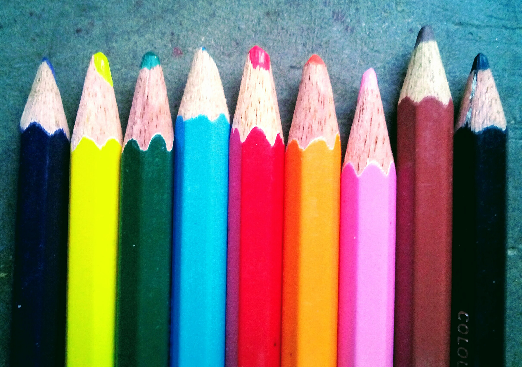 Micromax Canvas A1 sample photo. Colours are really crazy photography