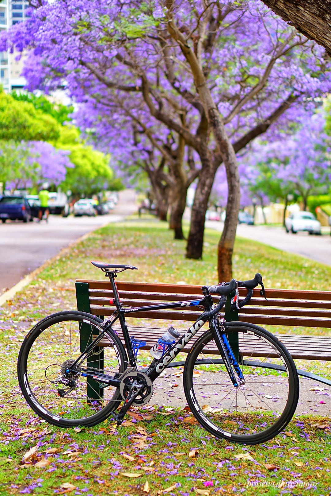 Sony E 50mm F1.8 OSS sample photo