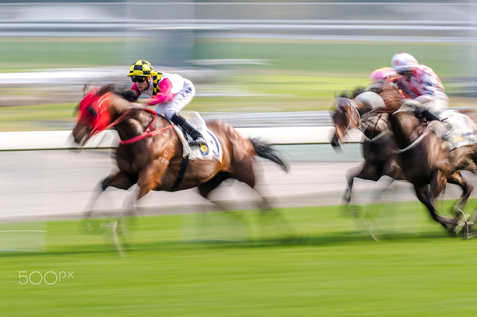 Canon EOS-1D X Mark II sample photo. Horse racing photography
