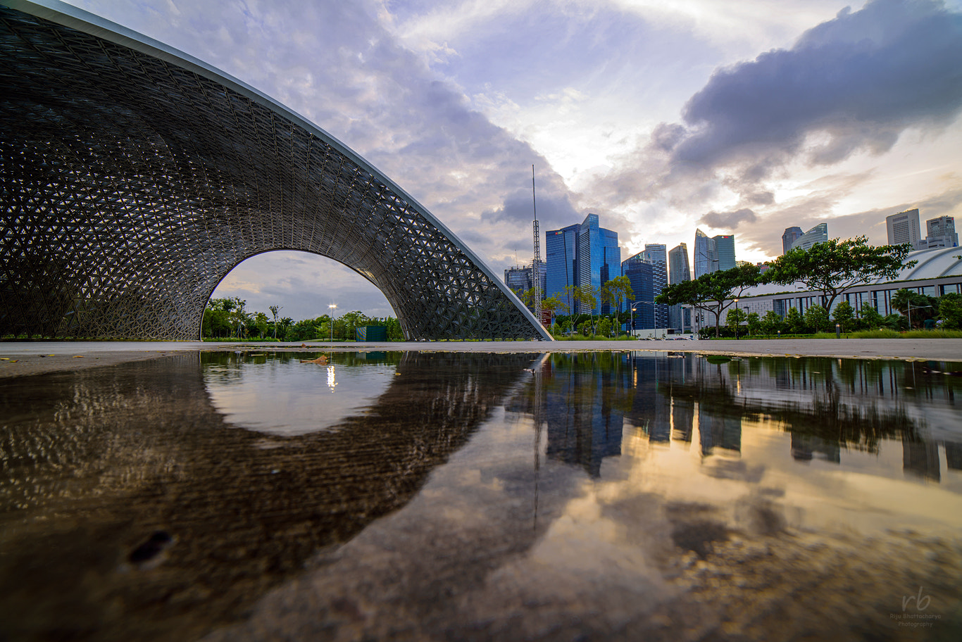 Nikon D810 sample photo. The puddle and the city... photography