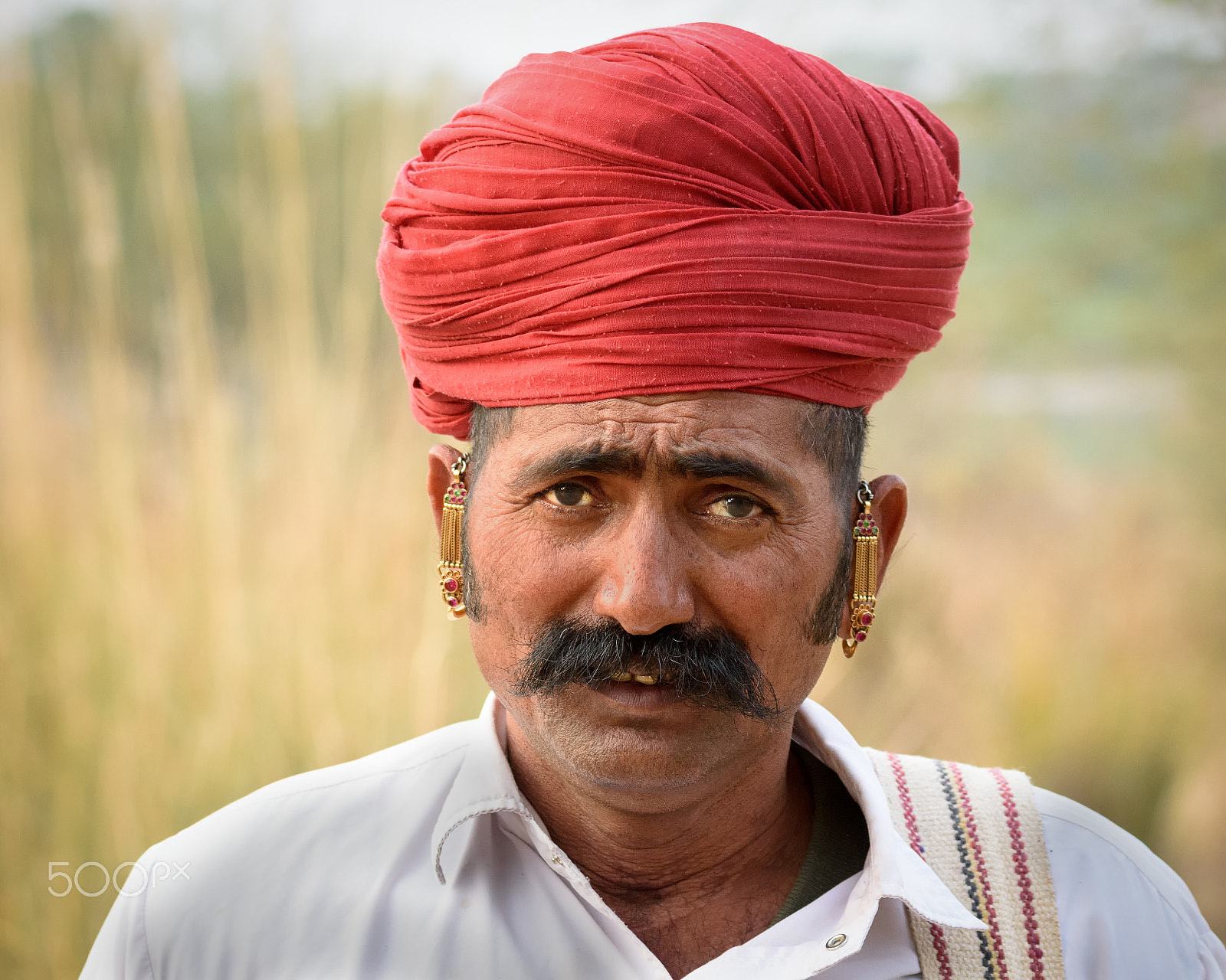 Nikon AF-S Nikkor 70-200mm F4G ED VR sample photo. Ranjit photography