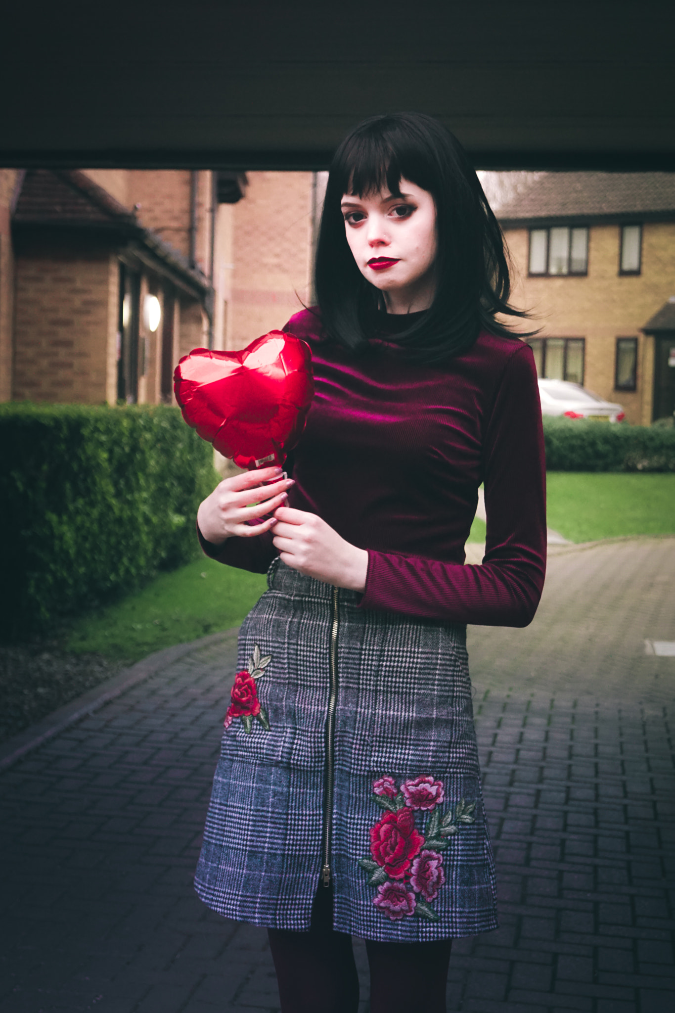 Sony DT 18-55mm F3.5-5.6 SAM II sample photo. Roses are red photography