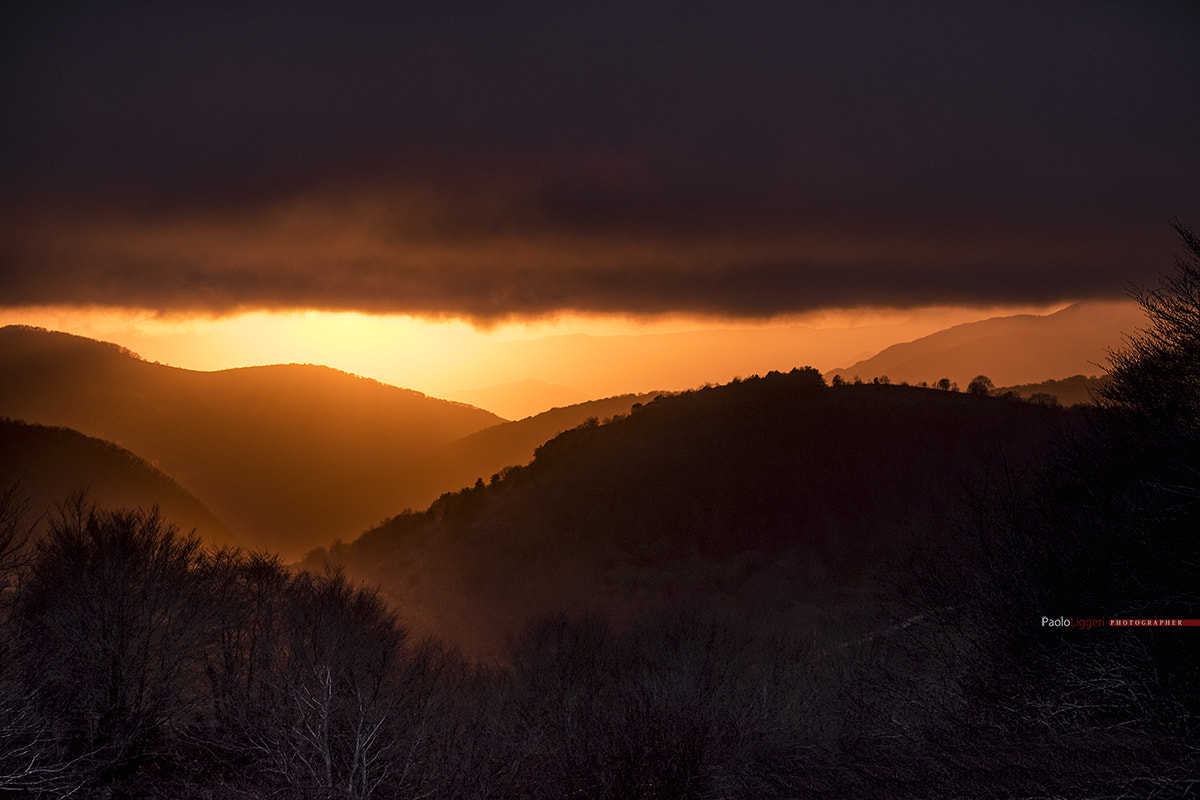 Fujifilm X-E2 + Fujifilm XF 55-200mm F3.5-4.8 R LM OIS sample photo. After the storm photography