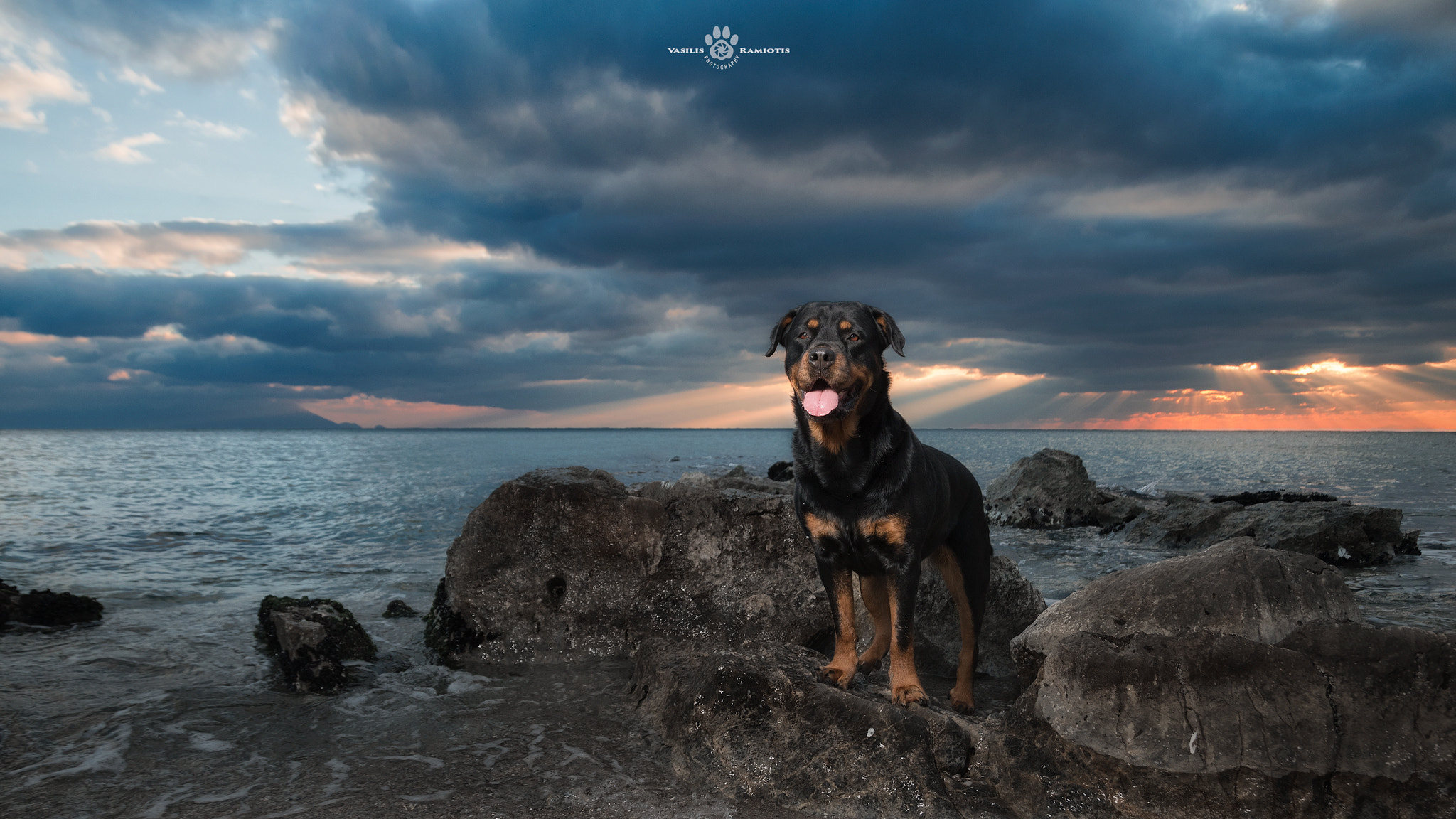 Nikon D500 sample photo. Do you like sunsets? photography