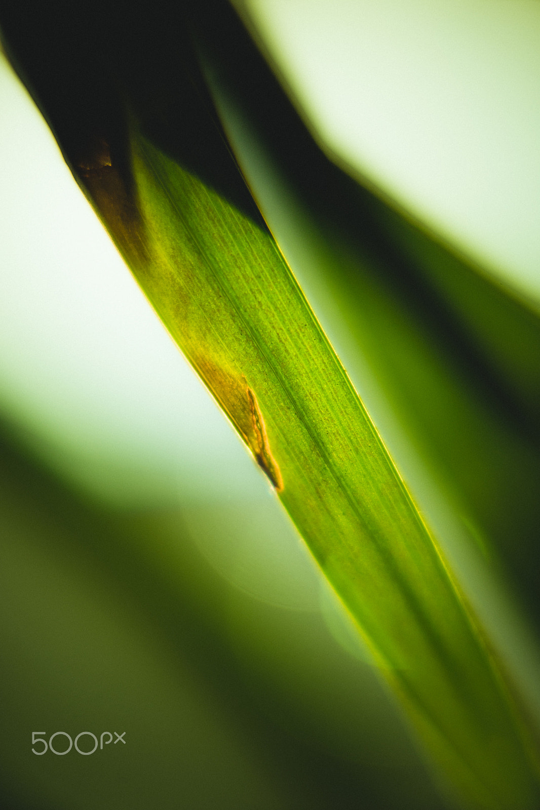 Sony a7 + Sony Vario Tessar T* FE 24-70mm F4 ZA OSS sample photo. Office space photography