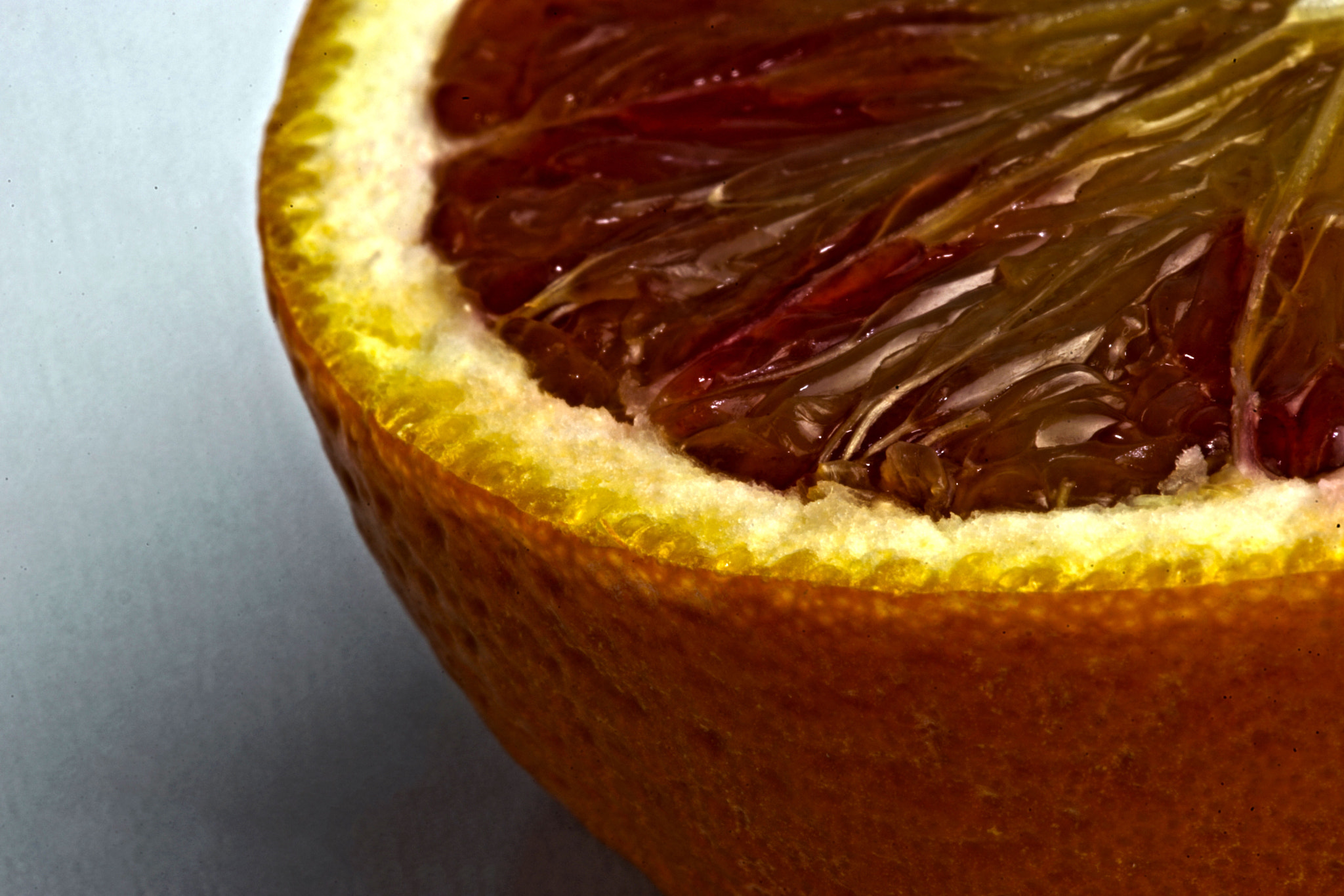 Minolta AF 100mm F2.8 Macro [New] sample photo. Orange photography