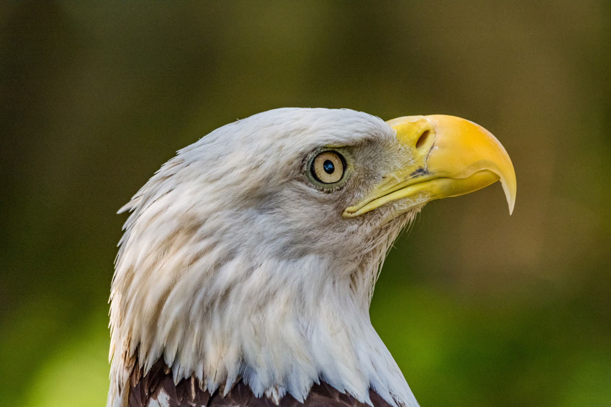 Sigma 150-600mm F5-6.3 DG OS HSM | C sample photo. Print photography