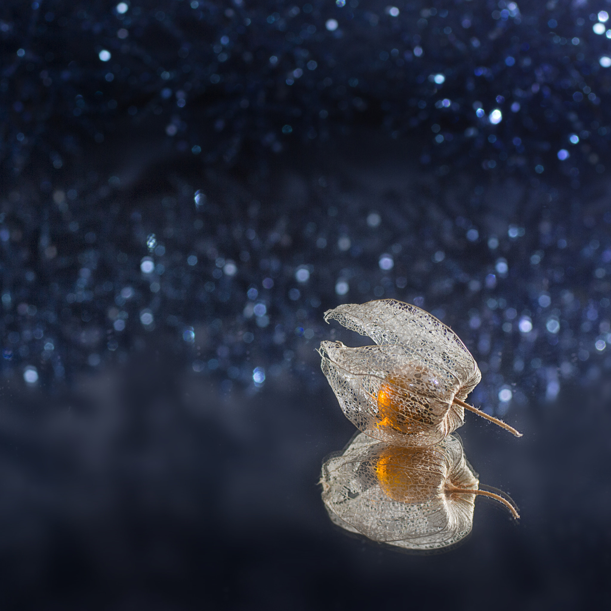 Canon EF 50mm F2.5 Macro sample photo. Pearls photography