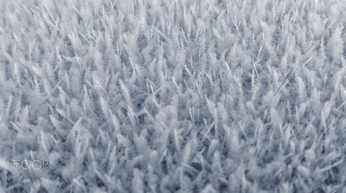 HTC M10 sample photo. Icy-hairy photography