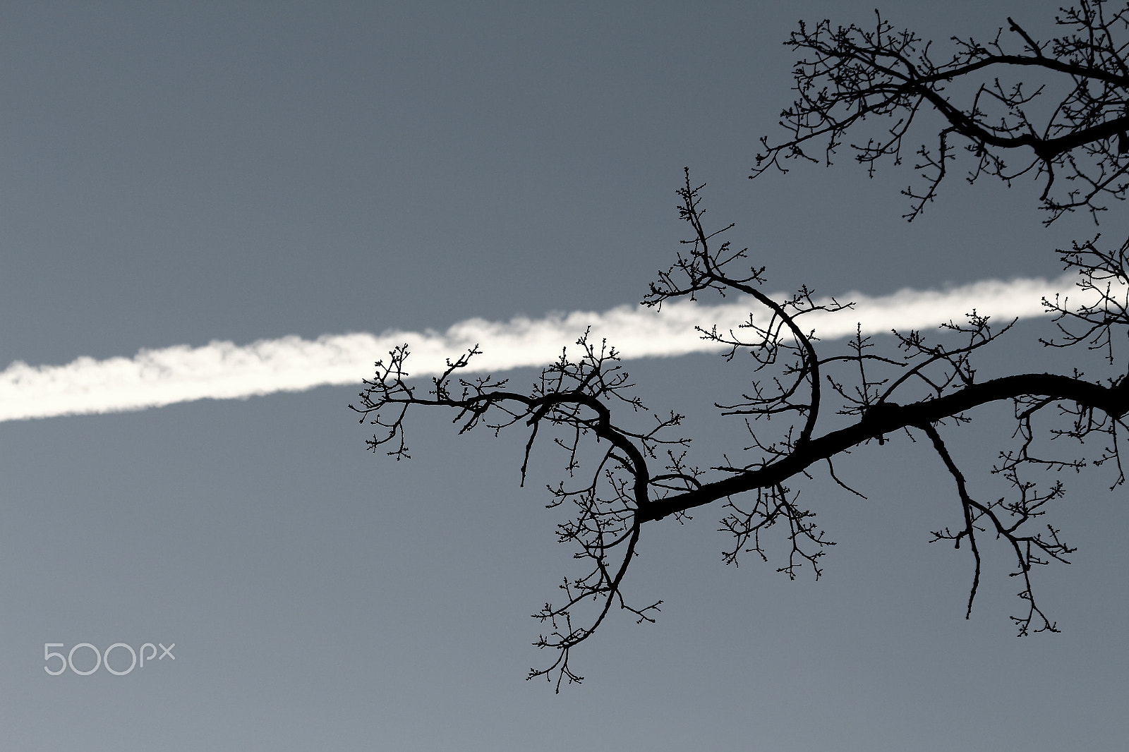 Canon EF 75-300mm F4.0-5.6 IS USM sample photo. Contrail photography