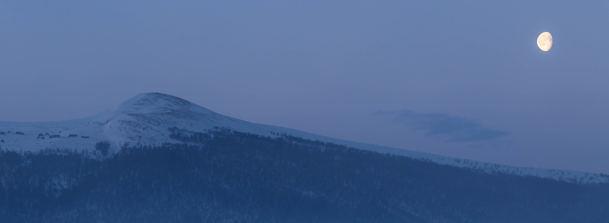 Sigma 70-300mm F4-5.6 APO DG Macro sample photo. Goodmorning photography