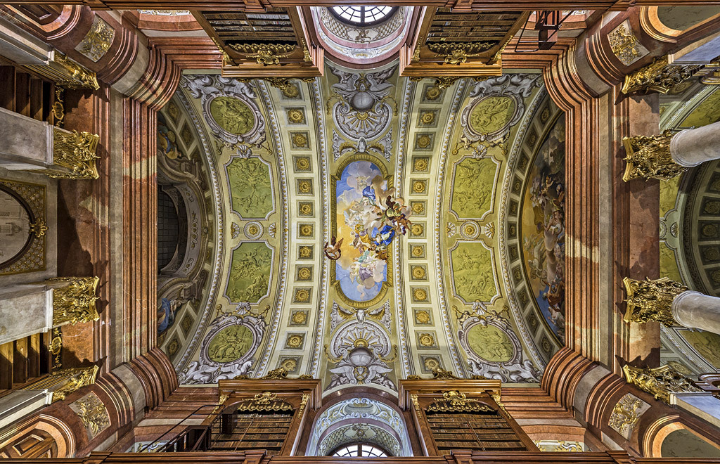 Nikon AF-S Nikkor 14-24mm F2.8G ED sample photo. Vienna - national library photography
