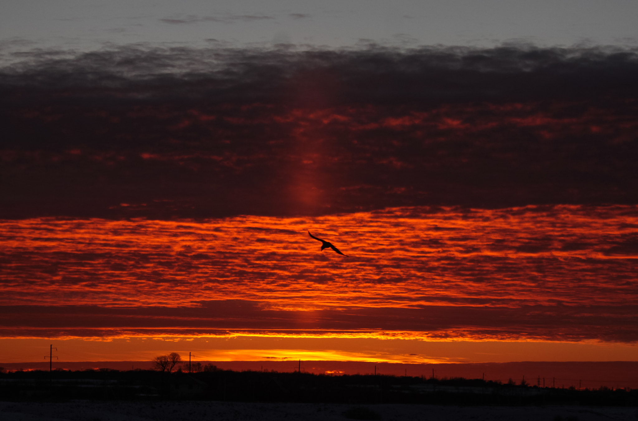 Canon EF-S 55-250mm F4-5.6 IS sample photo. Вечер photography