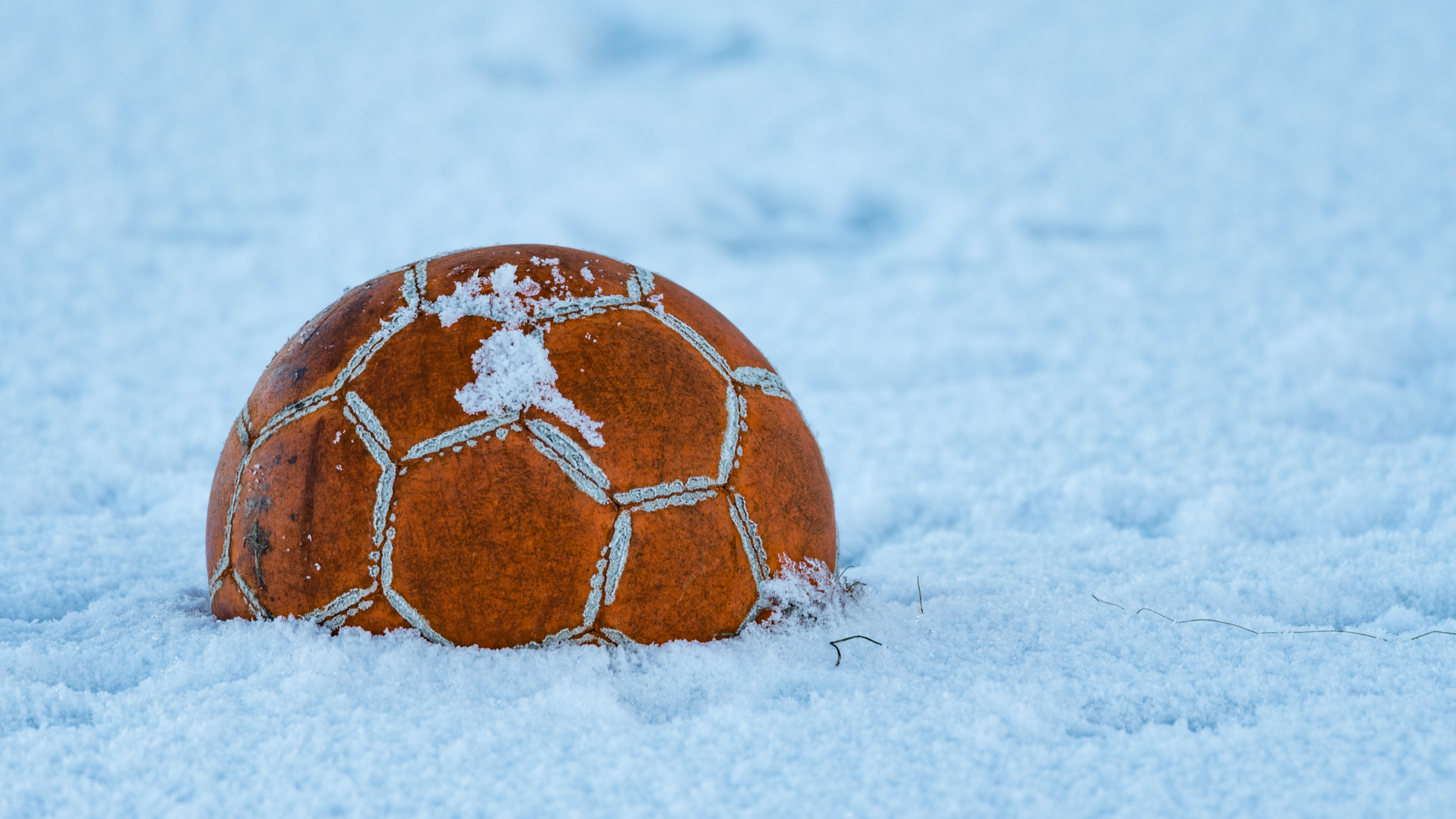 Sigma 150-600mm F5-6.3 DG OS HSM | C sample photo. Off season photography