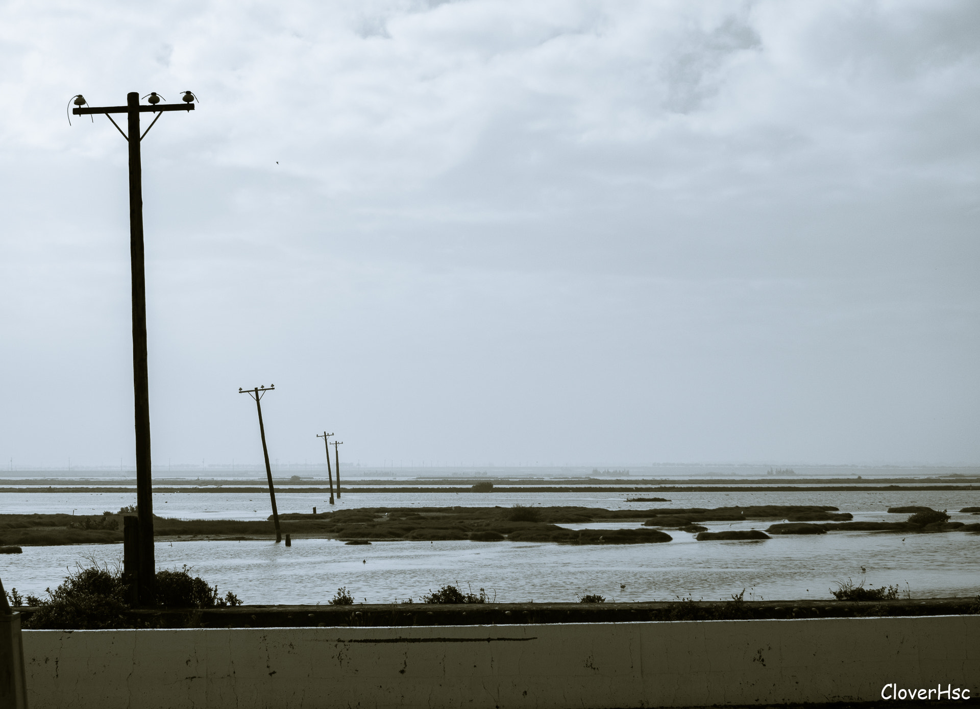 Olympus OM-D E-M1 sample photo. Wetland photography