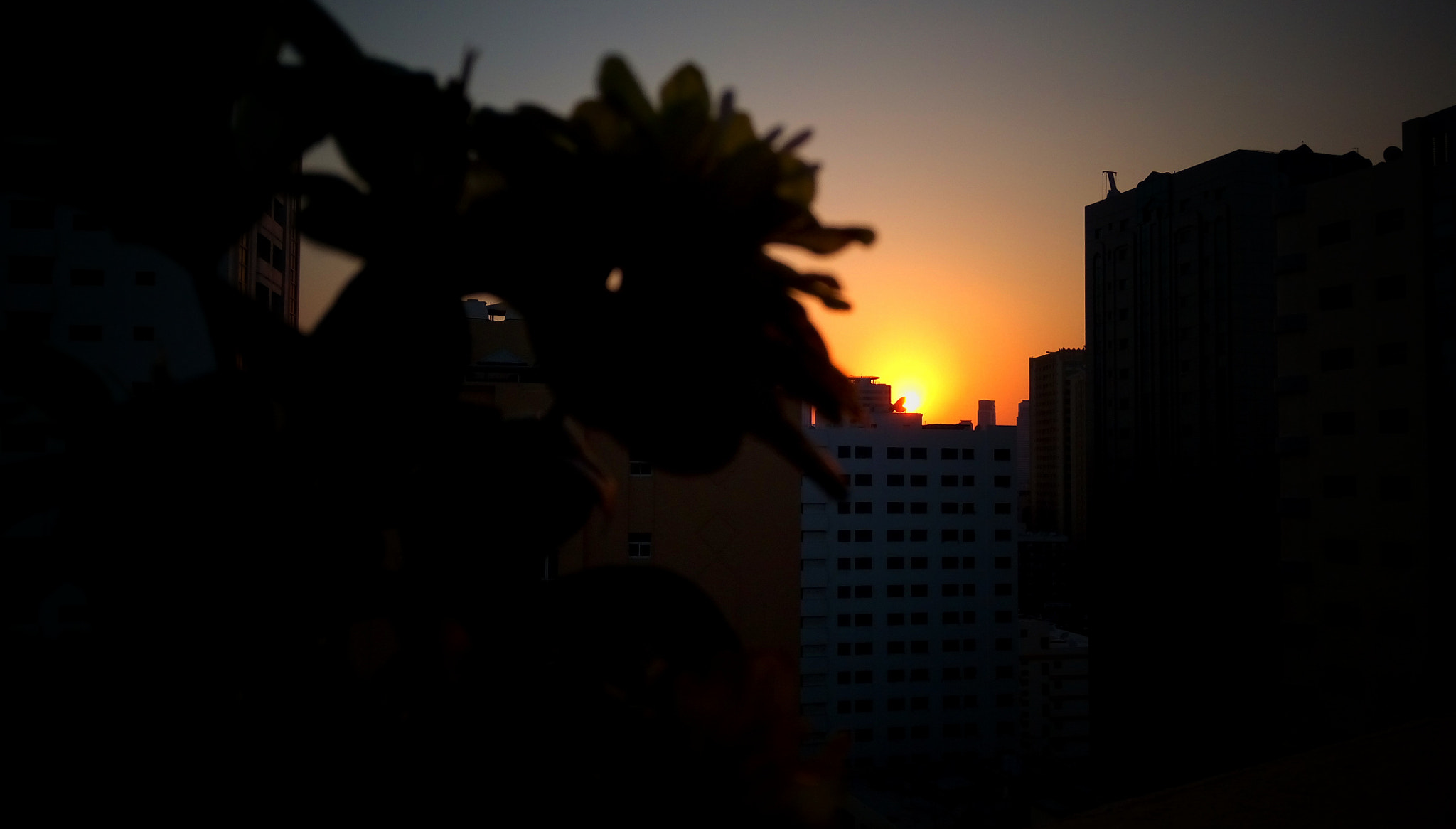 HTC D728W sample photo. Sunset photography