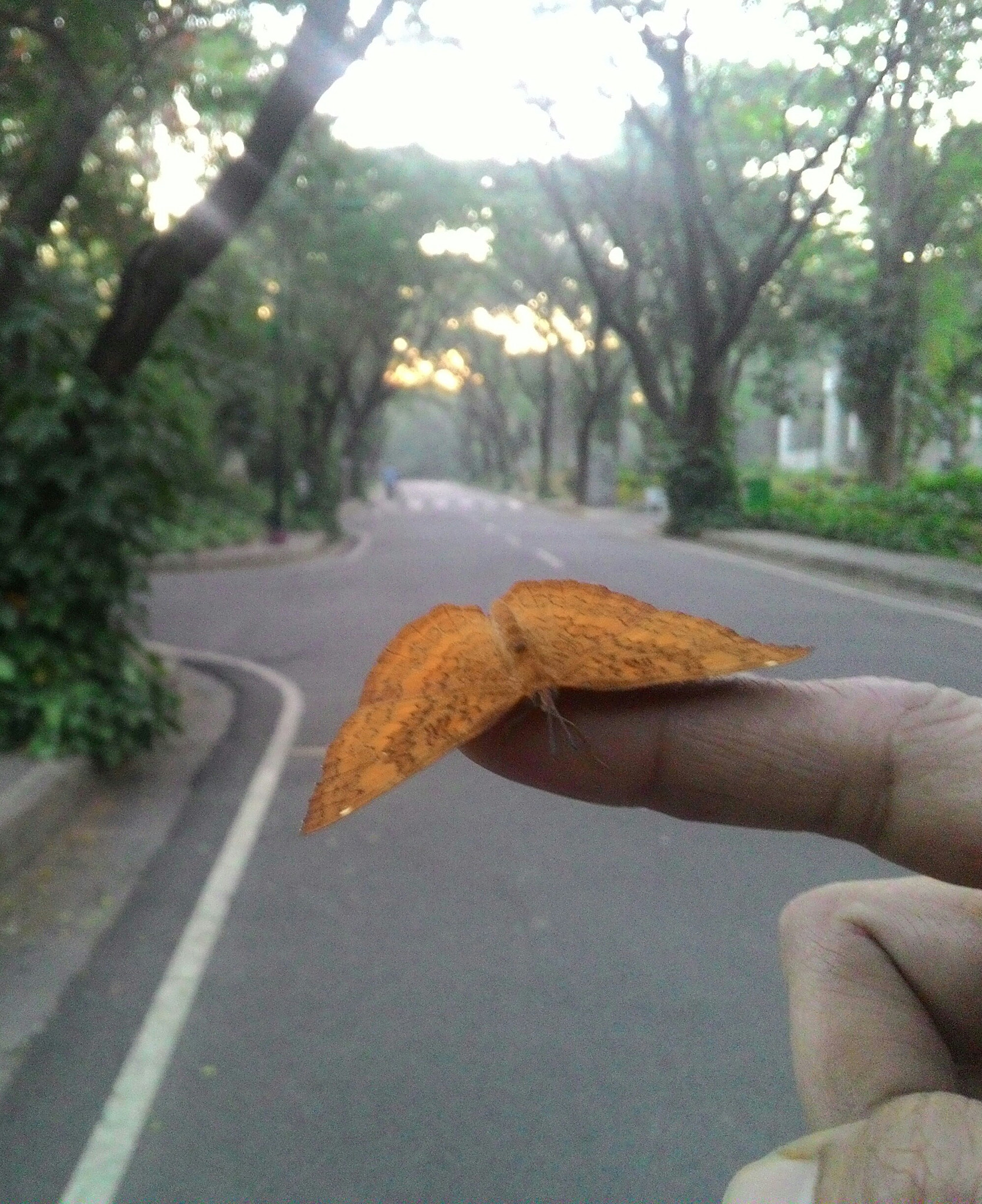 ASUS T00J sample photo. 6514 photography