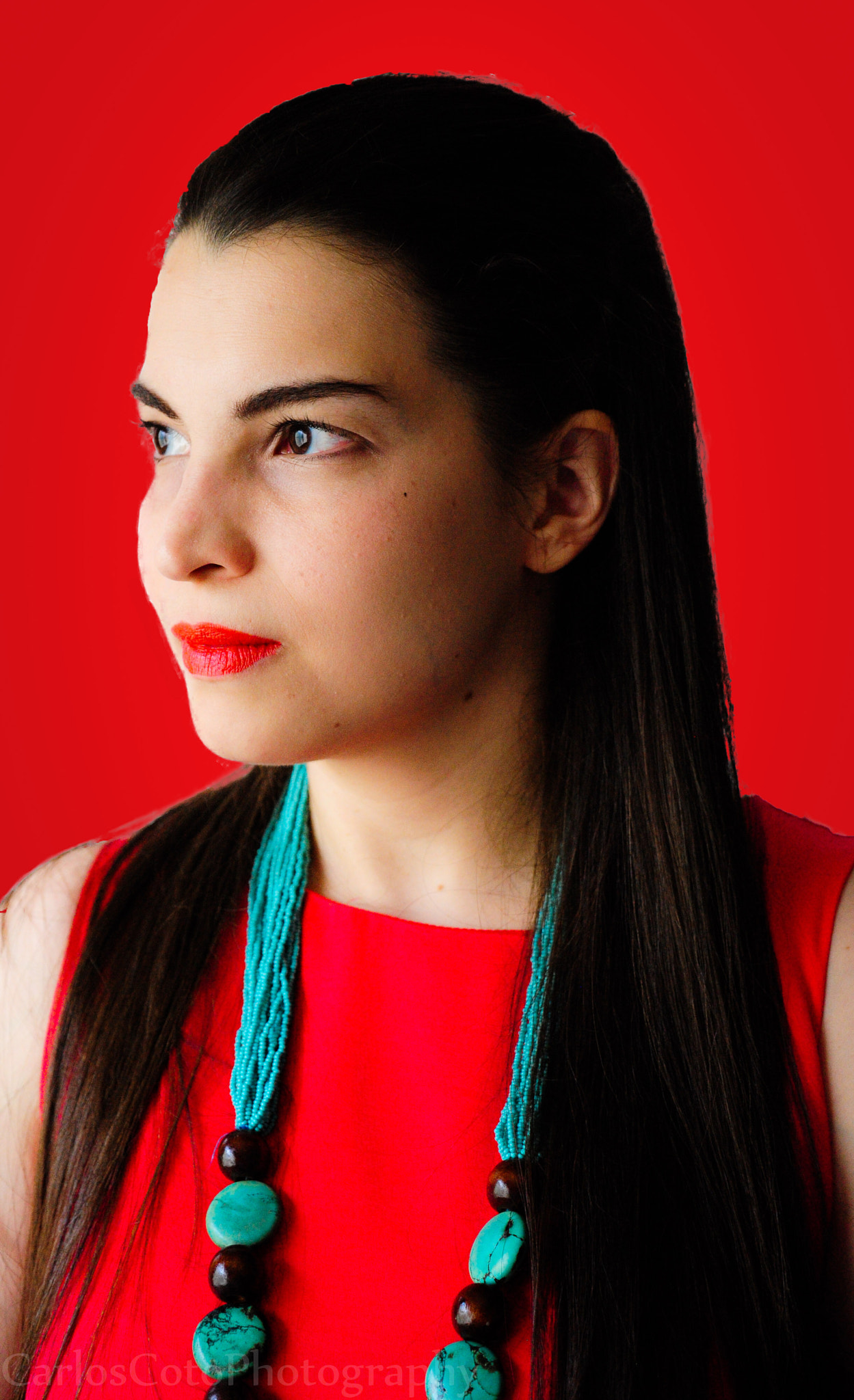 Nikon D700 sample photo. Lovely red photography