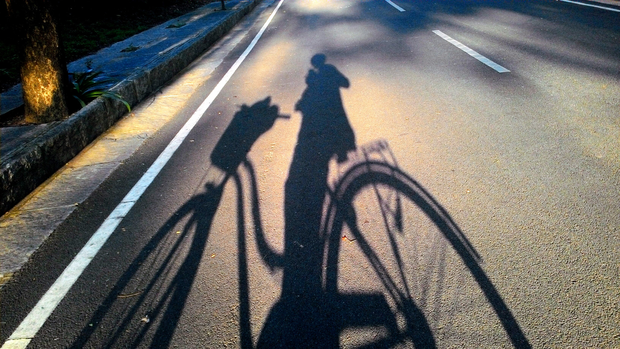 ASUS T00J sample photo. Bicycle photography