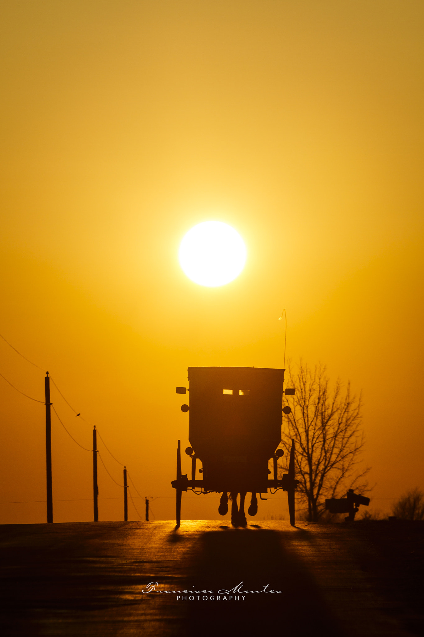 Canon EF 70-200mm F2.8L IS USM sample photo. In the land of the amish photography