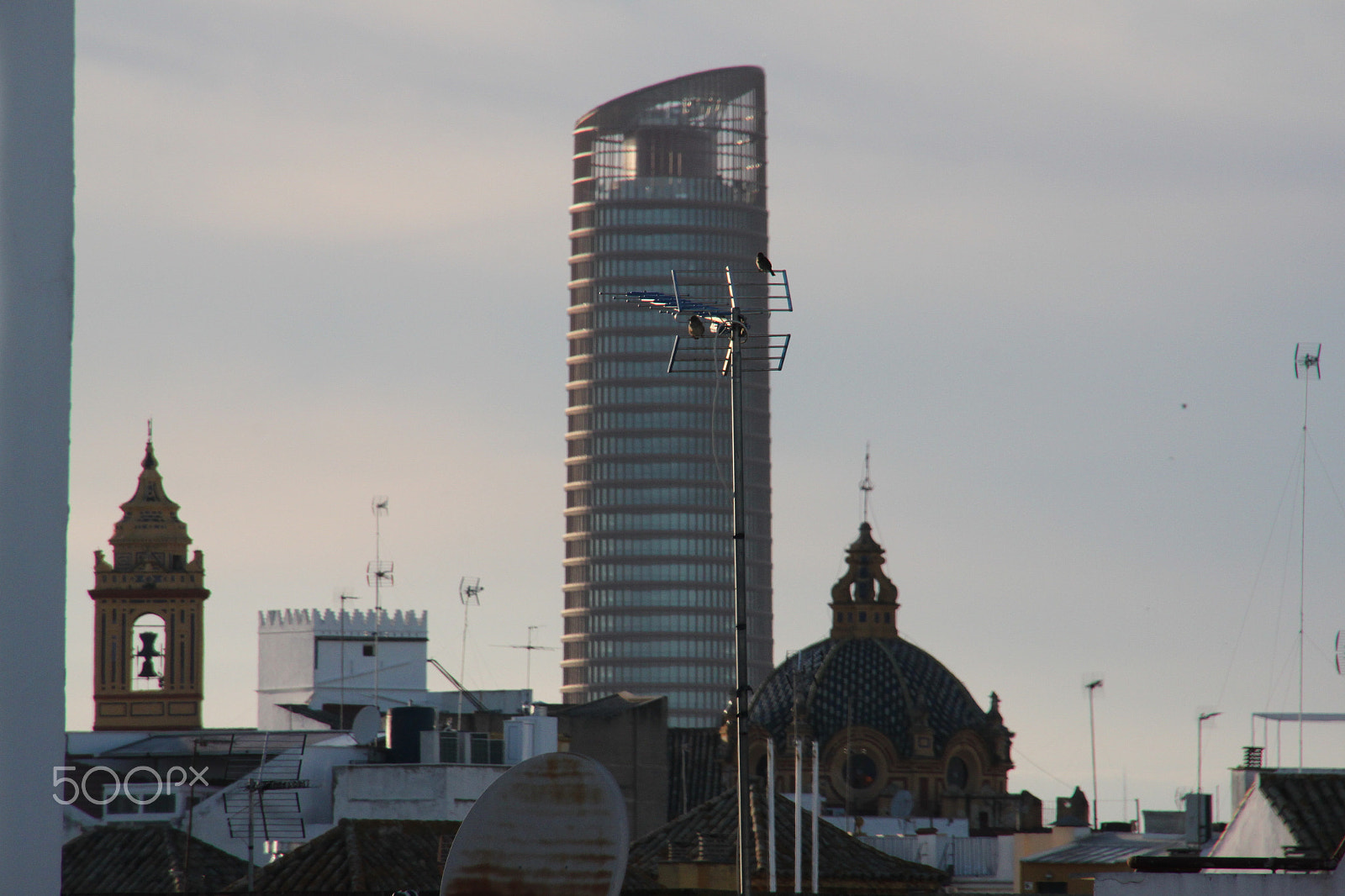 Canon EOS 500D (EOS Rebel T1i / EOS Kiss X3) sample photo. Sevilla's sky line and birds photography