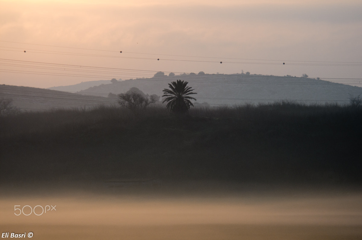 Nikon D300S sample photo. Misty morning photography