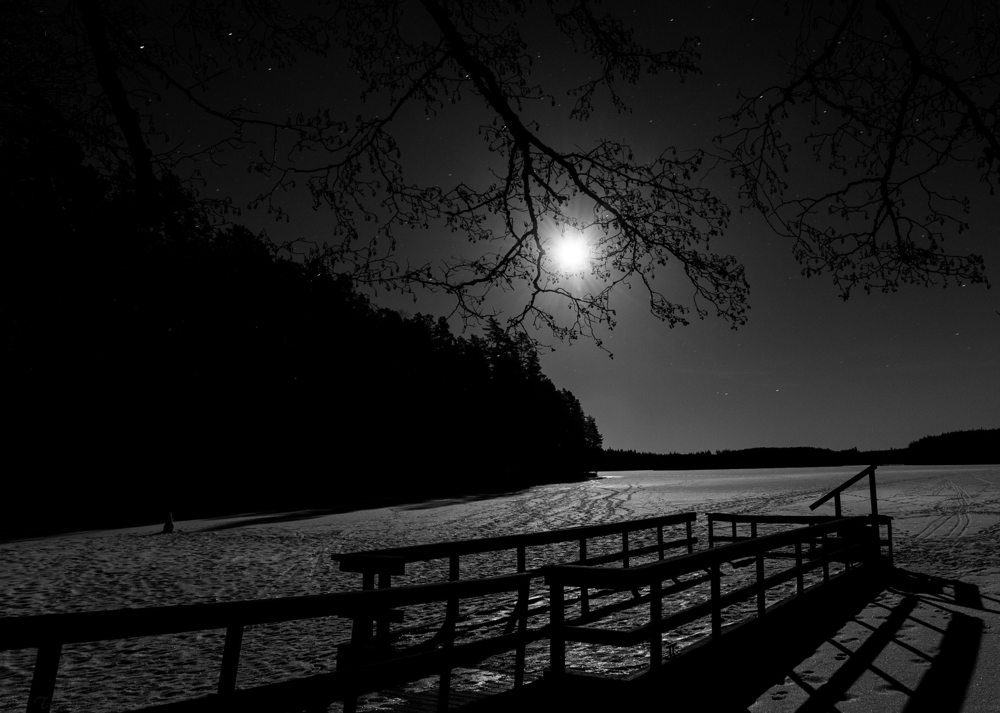 Nikon AF-S Nikkor 24-70mm F2.8E ED VR sample photo. Moon shine photography