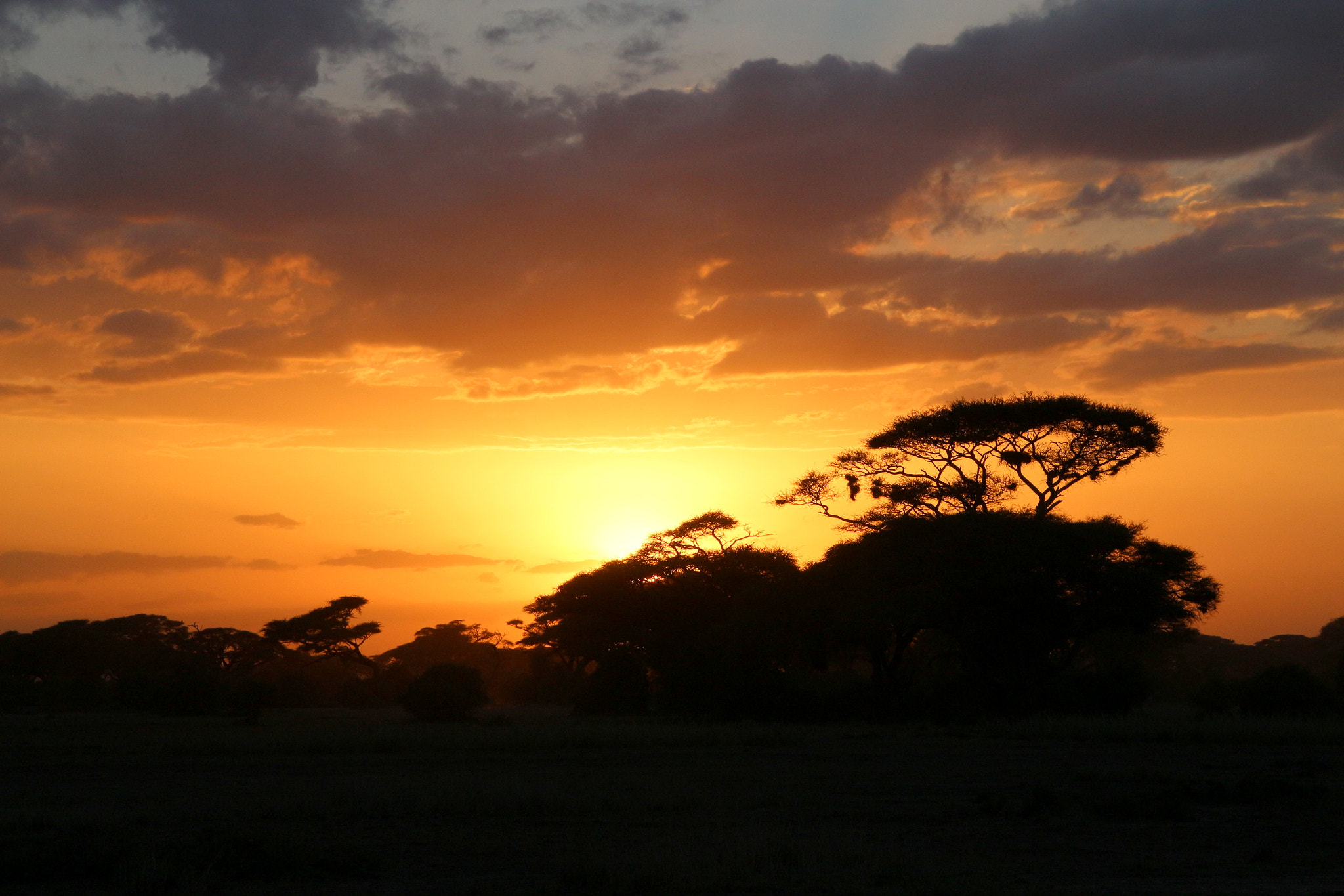 Canon EOS 650D (EOS Rebel T4i / EOS Kiss X6i) sample photo. Sunset, kenya photography