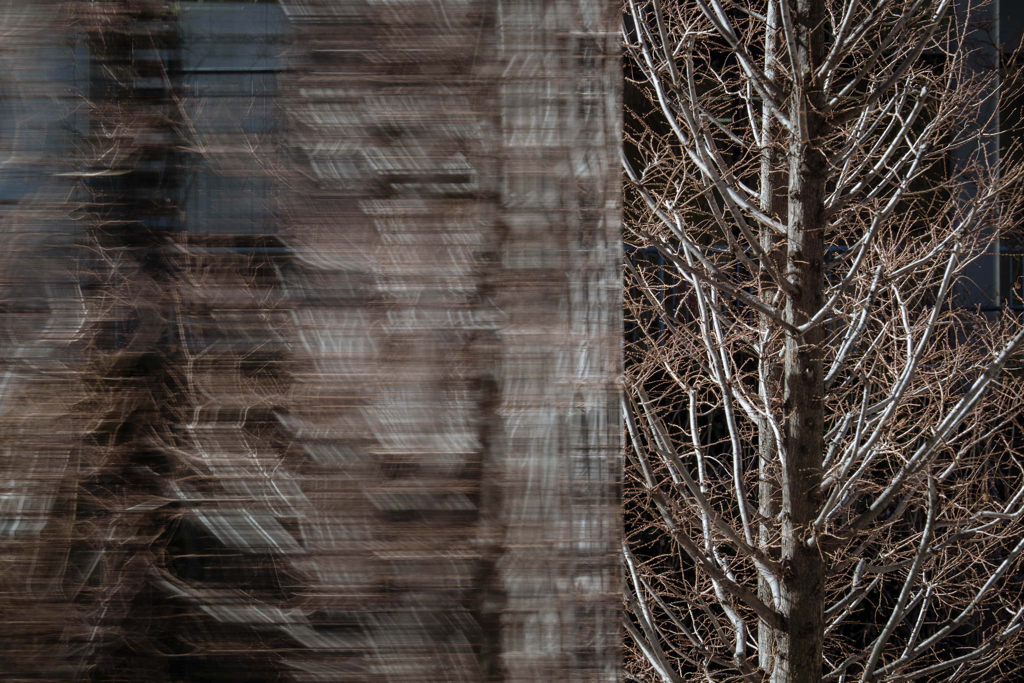 Olympus OM-D E-M1 Mark II + Olympus M.Zuiko Digital ED 40-150mm F2.8 Pro sample photo. Tree reflections photography