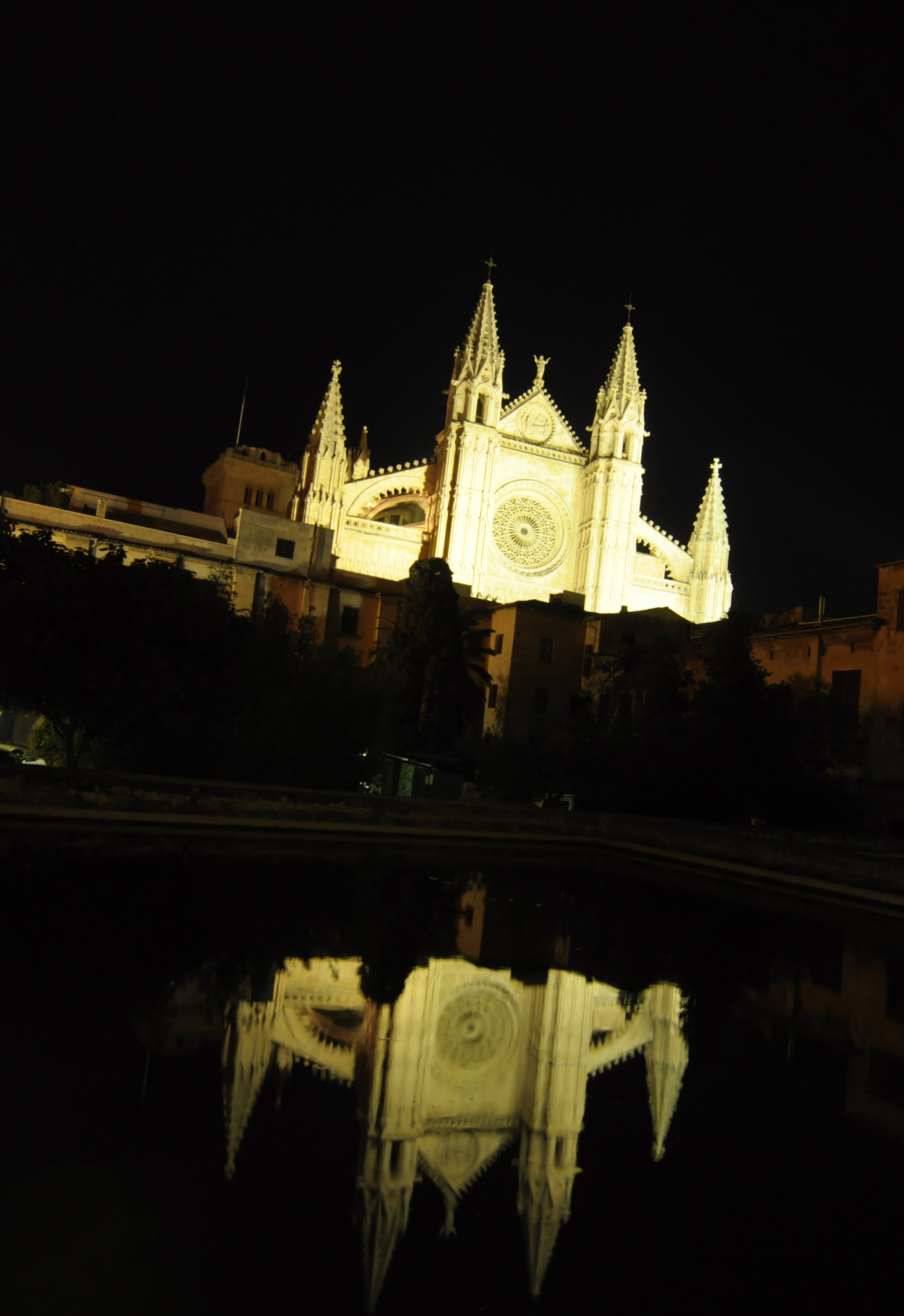 Nikon D5000 sample photo. Reflejos photography
