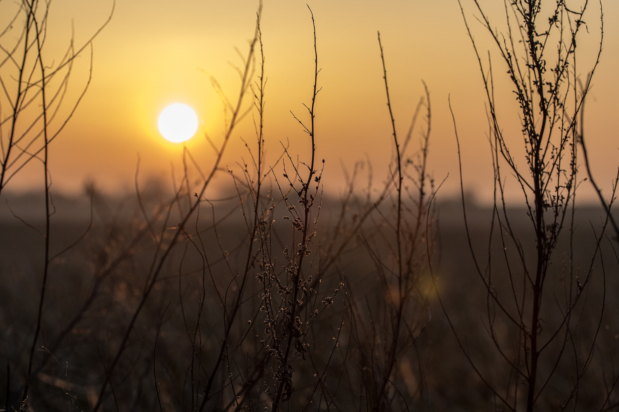 Canon EOS 80D sample photo. Forår photography