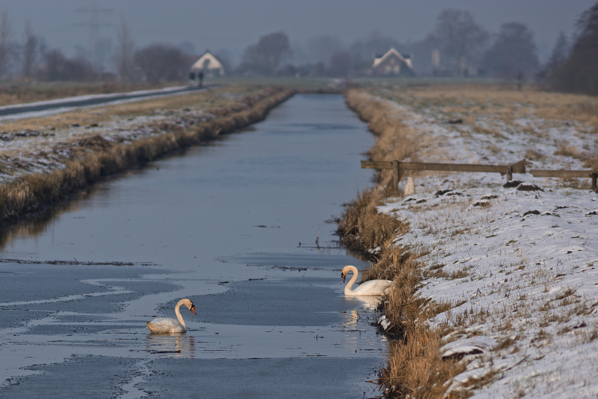 Sony SLT-A65 (SLT-A65V) + Minolta AF 200mm F2.8 HS-APO G sample photo. White as snow photography