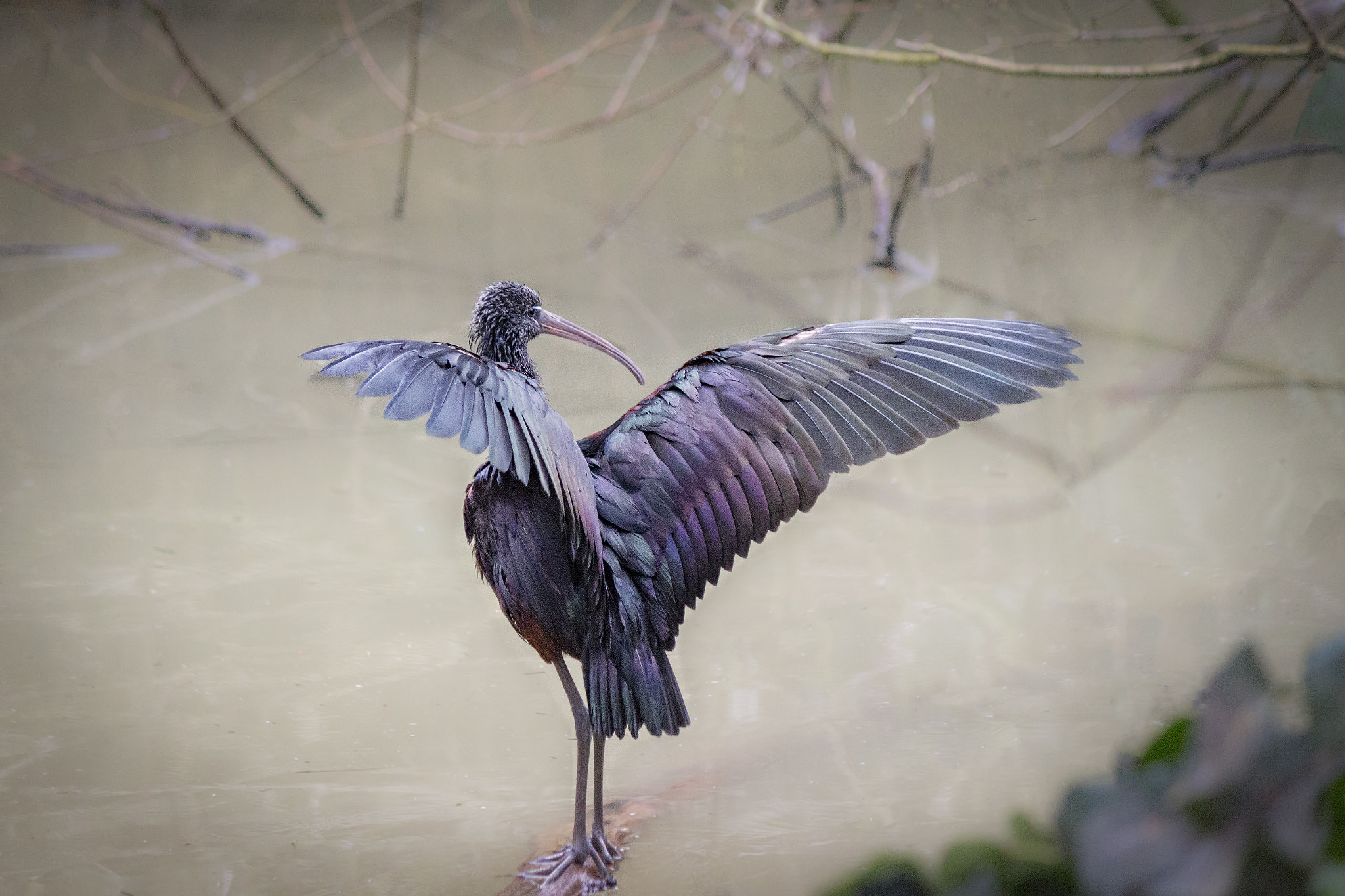 Canon EF-S 55-250mm F4-5.6 IS II sample photo. A thousand colors photography
