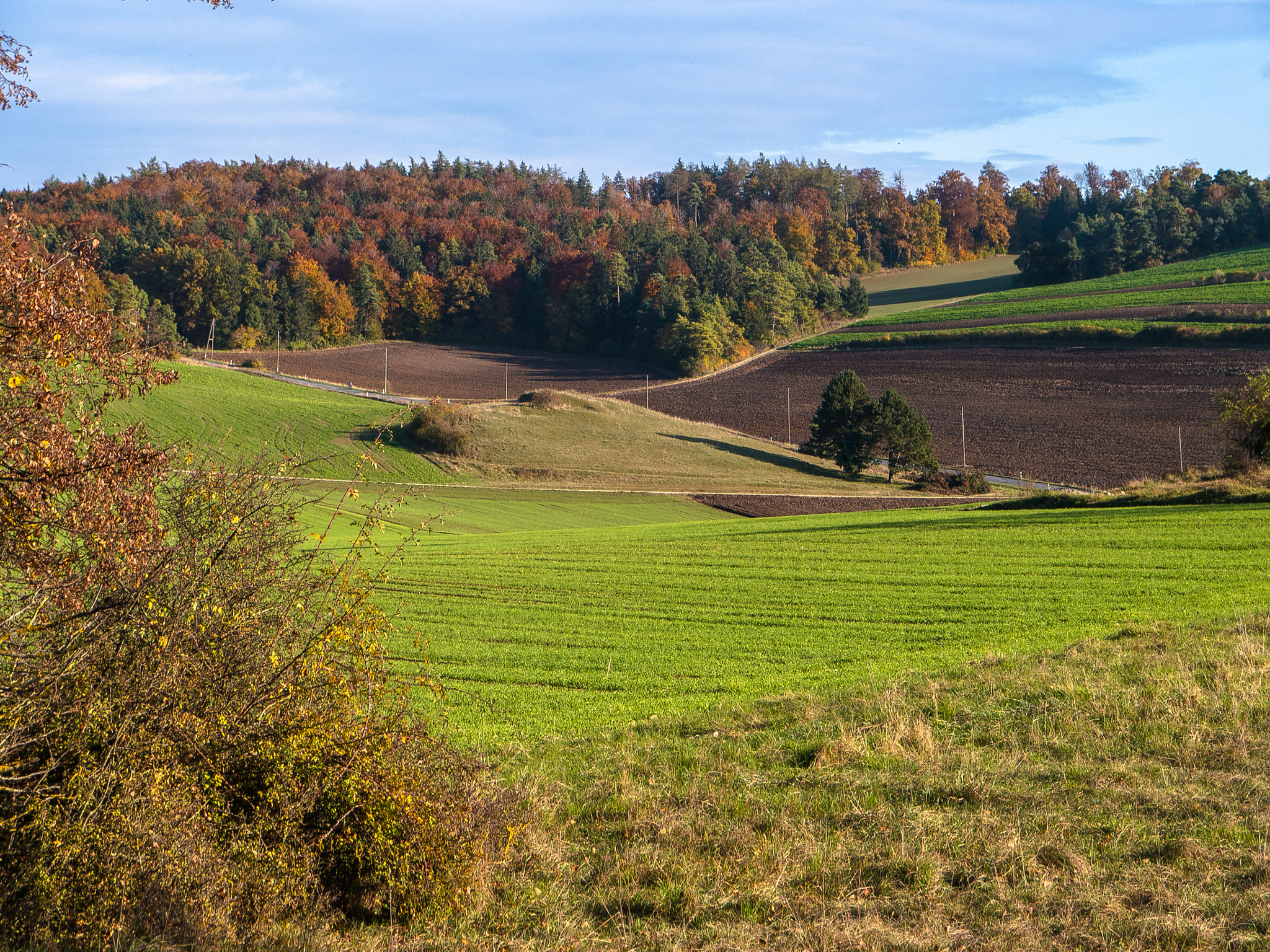Panasonic Lumix DMC-G5 sample photo. Herbstlandschaft photography