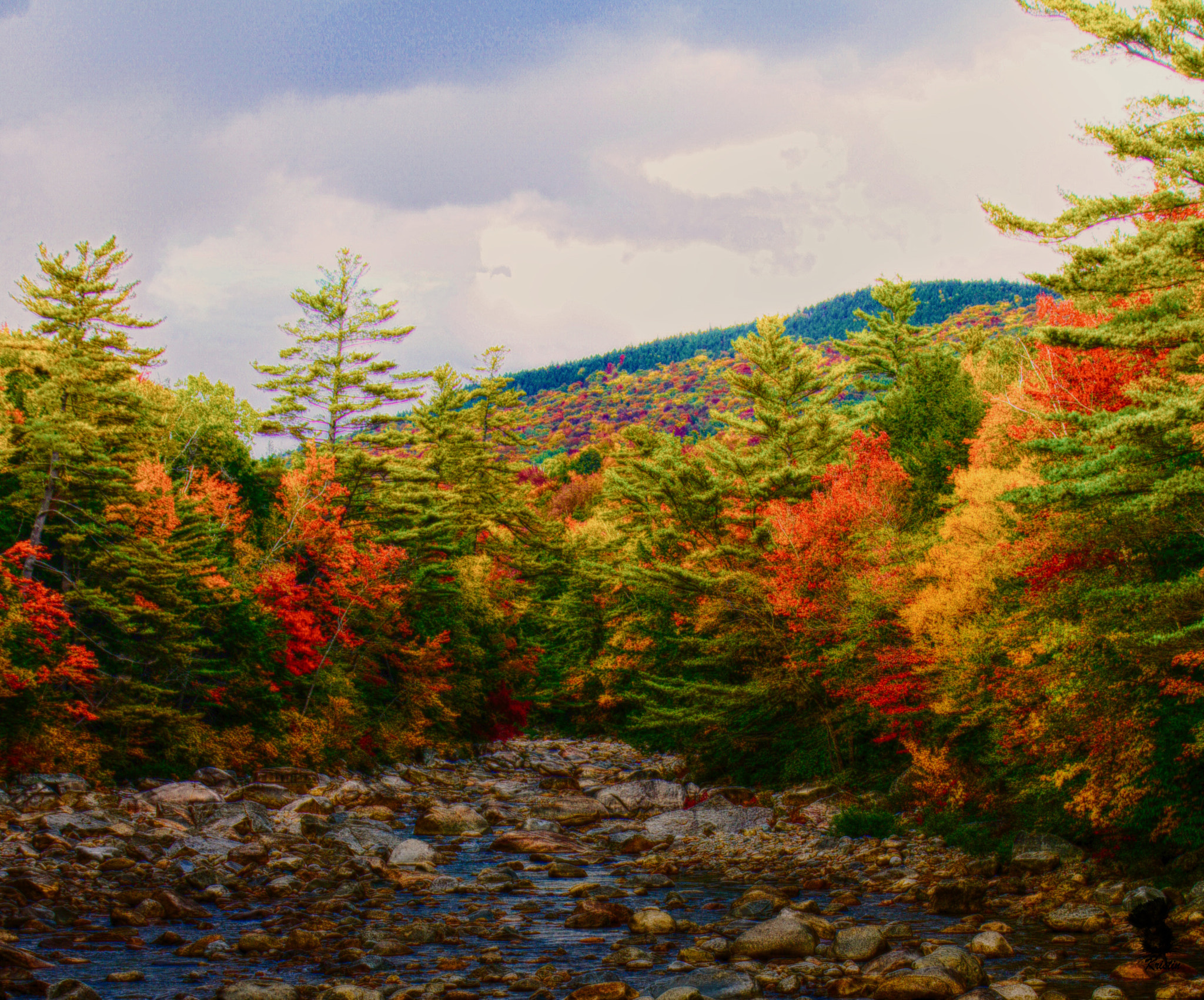 Sony Alpha NEX-3 sample photo. Artistic autumn photography