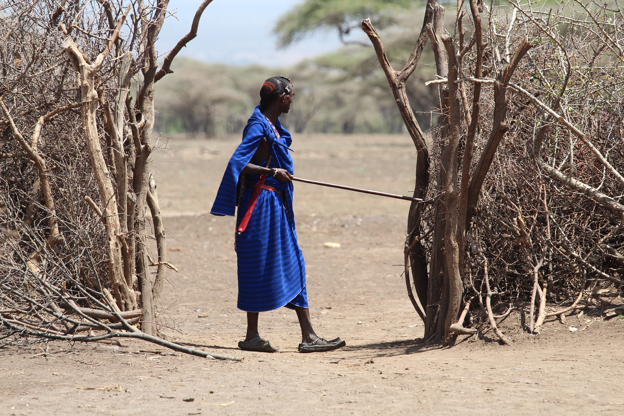 Canon EOS 650D (EOS Rebel T4i / EOS Kiss X6i) sample photo. Massai-people in tanzania photography