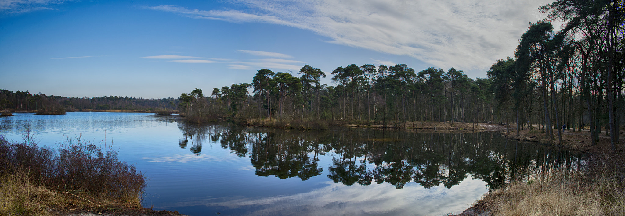 Sigma 24-70mm F2.8 EX DG HSM sample photo. Nature photography