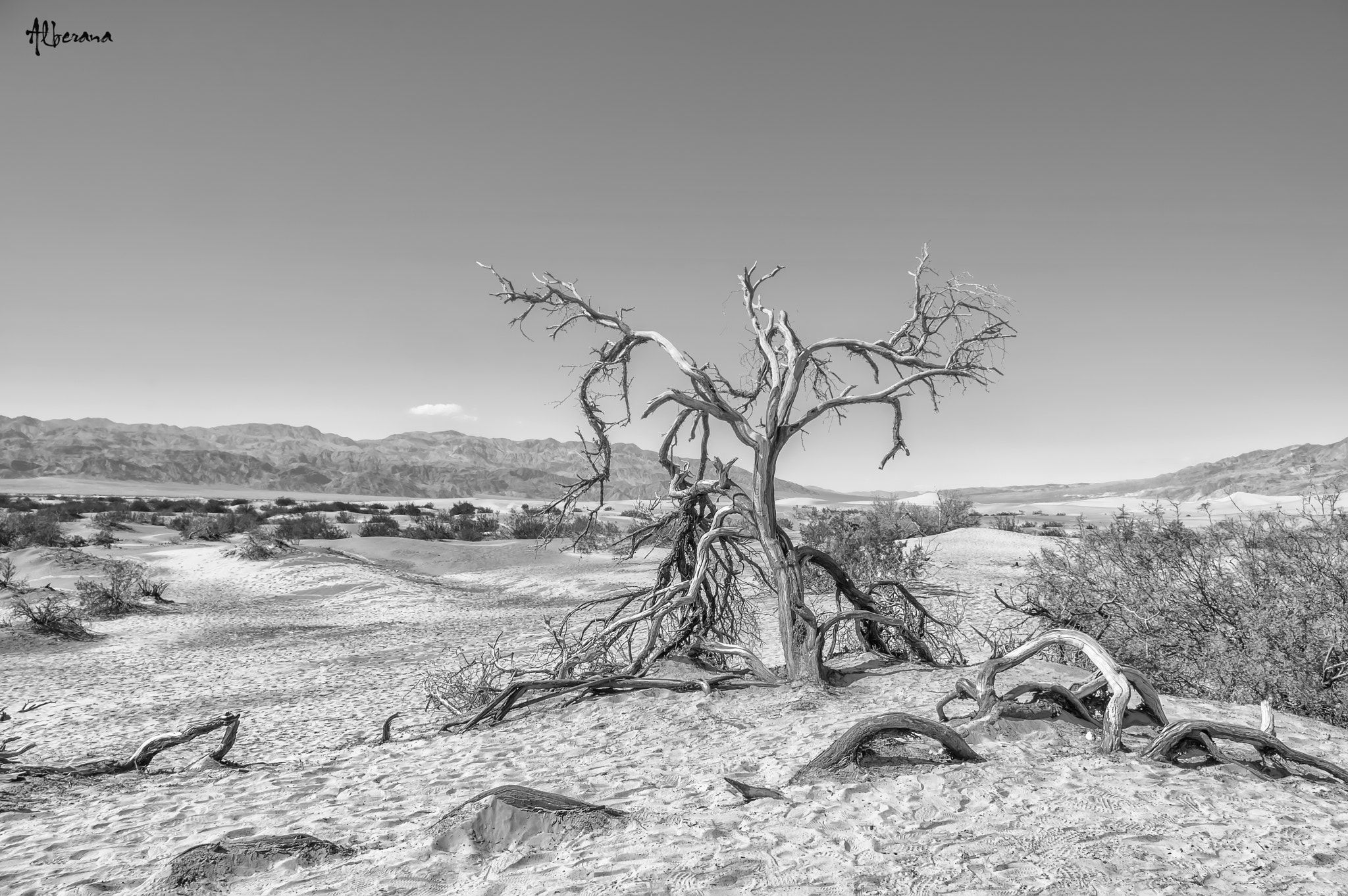 Pentax K-3 sample photo. Solitary in death valley photography