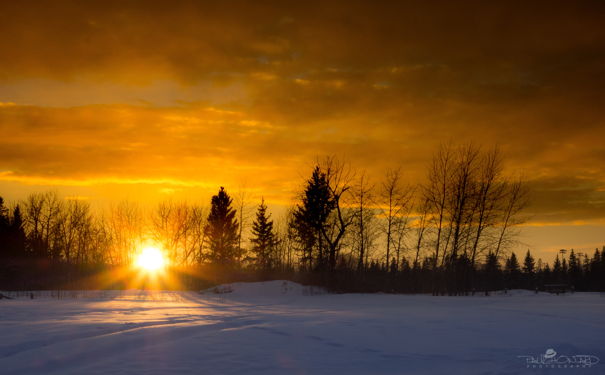Olympus OM-D E-M1 sample photo. Day 41: sunrise, sunset photography
