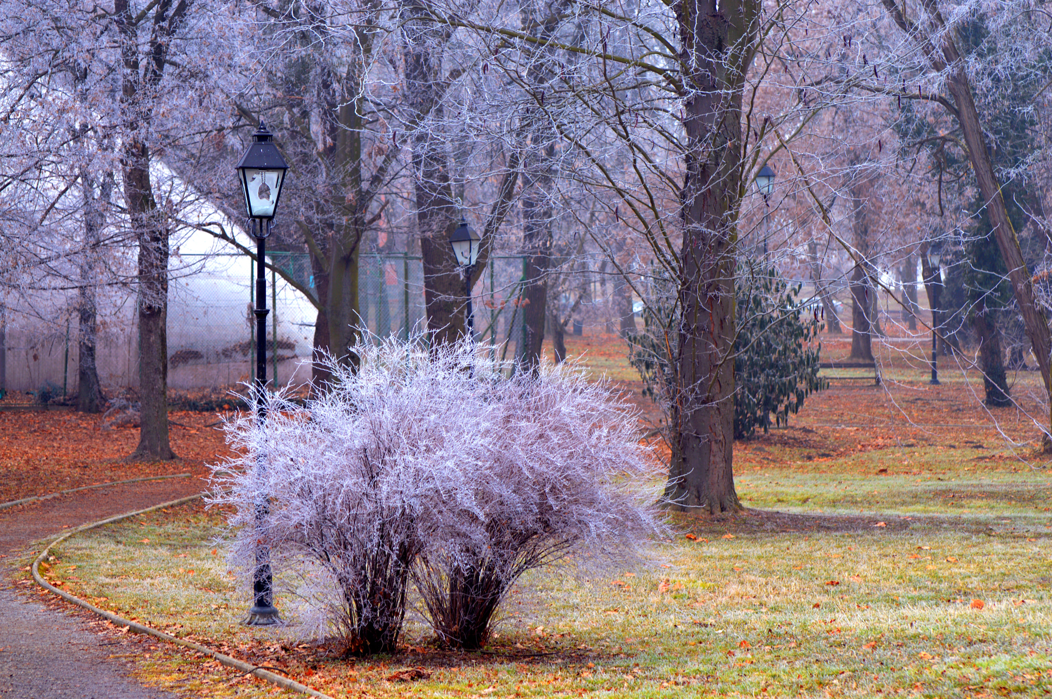 Nikon D3200 sample photo. When winter says its final word photography