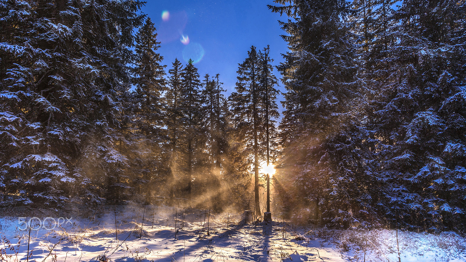 Canon EOS-1D X + Canon EF 16-35mm F2.8L USM sample photo. Winter- mountain gaberl (austria) photography