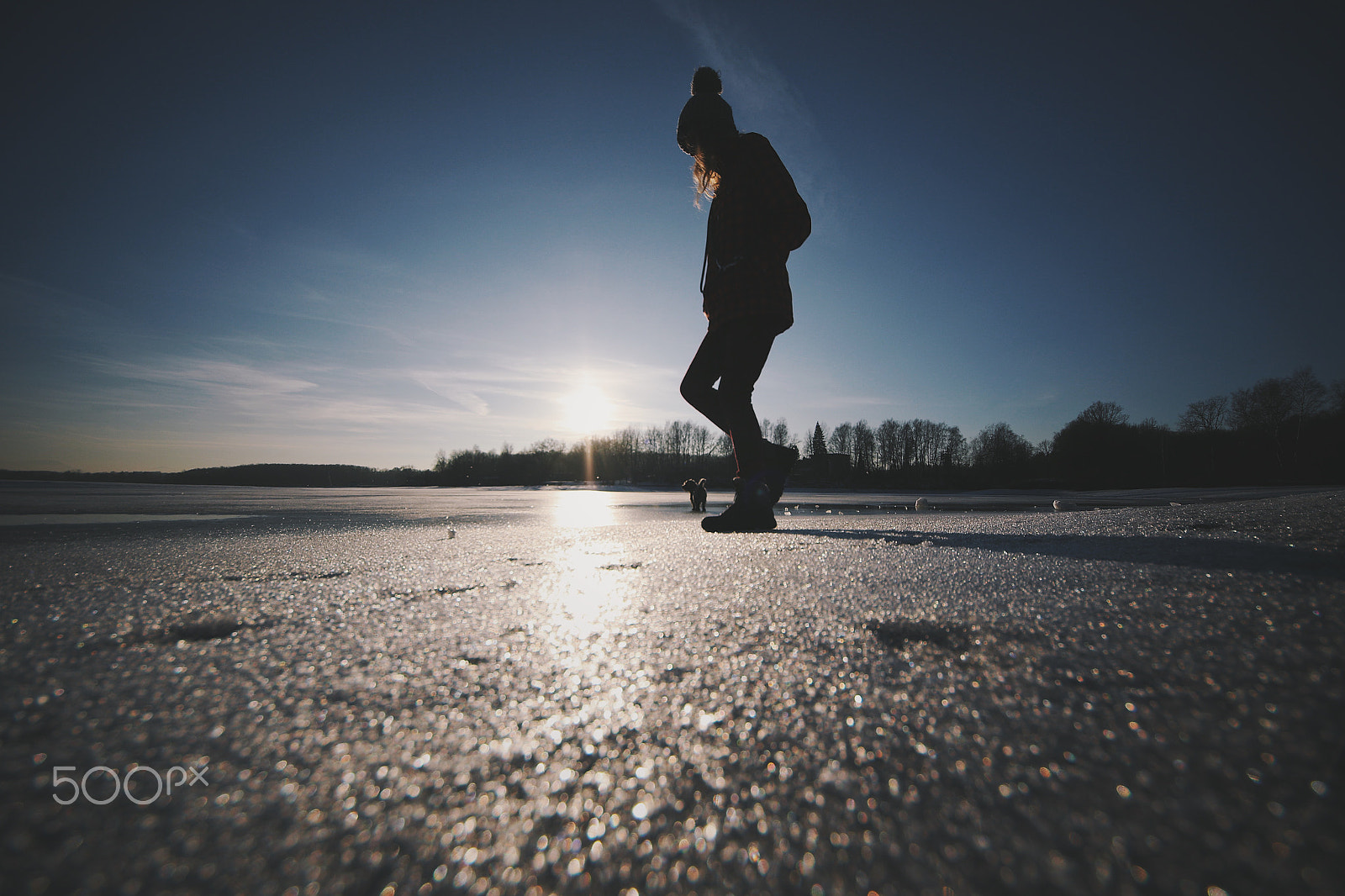 Canon EOS 7D Mark II sample photo. On thin ice photography