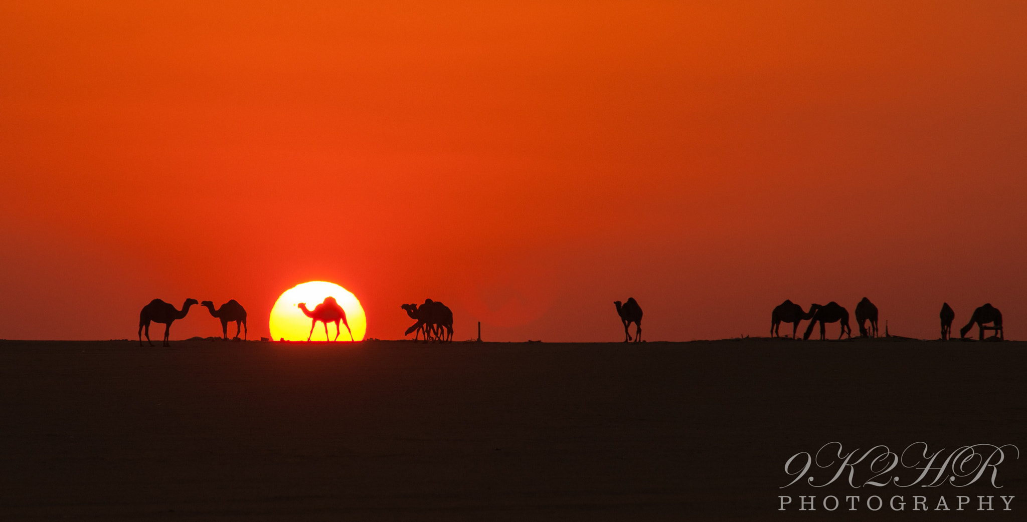 Sigma 70-200mm F2.8 EX DG Macro HSM II sample photo. The silk road photography