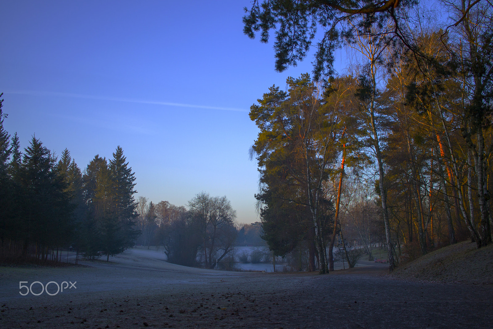 Canon EF-S 24mm F2.8 STM sample photo. Pond in early winter morning photography