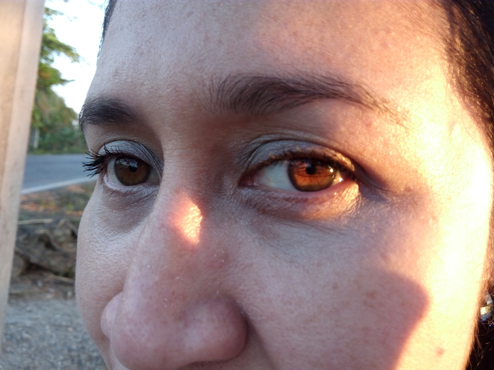 ZTE BLADE V6 sample photo. Jocelin photography