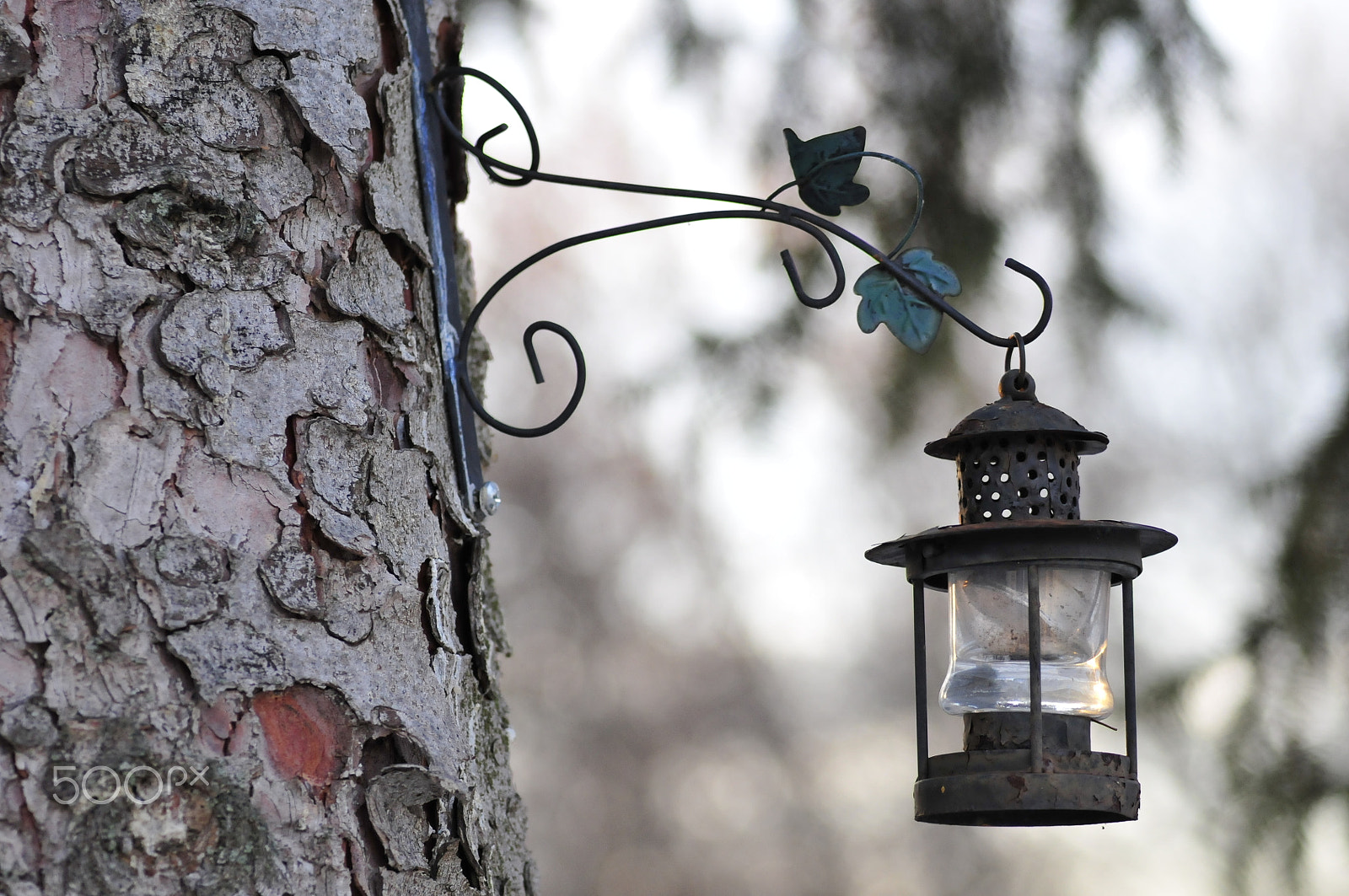 Nikon D300 sample photo. Lampa. photography